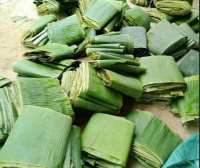 SUSTAINABLY SOURCED BANANA LEAVES FOR ECO
