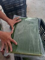 PREMIUM BANANA LEAVES FOR NATURAL COOKING