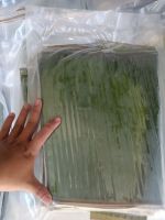 HAND-SELECTED BANANA LEAVES FOR TRADITIONAL