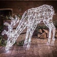 IMMUNE BOOST THEMED BAMBOO WICKER DEER FOR GREEN HOLIDAY SPACES