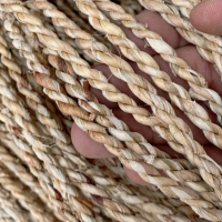 ENVIRONMENTALLY FRIENDLY SEAGRASS ROPE WITH PLANT-DERIVED FIBERS