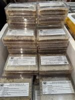 WILD HARVESTED HONEY COMB PURE NUTRIENT DENSE CLEAN INGREDIENT IMMUNE SUPPORT