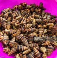 CLEAN LABEL OCEAN SHELL MINERAL SUPPLY