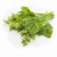 FROZEN PREMIUM PUMPKIN LEAVES RICH IN NUTRIENTS CLEAN LABEL ORGANIC STYLE PLANT BASED FOOD INGREDIENT