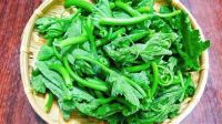 ALL NATURAL FROZEN PUMPKIN LEAVES FOR HEALTHY COOKING PLANT BASED VEGAN FRIENDLY CLEAN LABEL PRODUCT