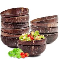 ALL-NATURAL COCONUT SHELL BOWL / PLANT