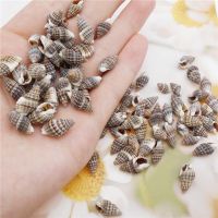 SEA SHELLS BATILLARIA ZONALIS / NATURAL COLOR / FOR HOME DECOR / CRAFT SUPPLY / READY TO EXPORT