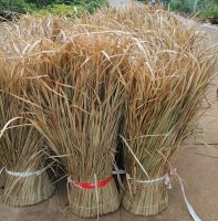 NATURAL SEAGRASS FIBERS / DRIED AND PRESERVED / GREAT FOR ARTISAN PROJECTS AND INTERIOR APPLICATIONS