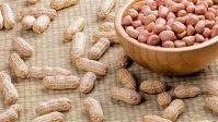 PURE PLANT BASED FROZEN BOILED PEANUT WITH NO ADDITIVES READY TO EAT FOR IMMUNE SUPPORT