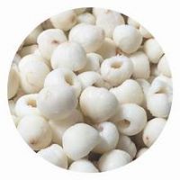 PURE FROZEN LYCHEE WHOLE FRUIT FOR NATURAL IMMUNE SUPPORT