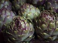 DRIED ATISO FLOWER HEADS | NATURAL VIETNAM