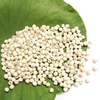 WHOLE DRIED LOTUS SEEDS | LOW MOISTURE