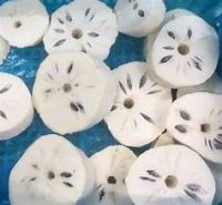 CLEAN LABEL FROZEN SOURSOP PULP RICH IN VITAMINS ANTIOXIDANTS PLANT BASED NUTRITION SOURCE