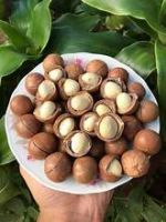 SUPERFOOD MACADAMIA NUTS CLEAN LABEL HEART FRIENDLY SOURCE OF HEALTHY FATS