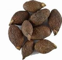 HIGH QUALITY MALVA NUTS NATURAL DRIED SEEDS HERBAL TEA INGREDIENT