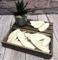 PURE DRIED CUTTLEFISH BONE / CALCIUM RICH