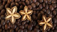 SUPERFOOD SACHA INCHI SEEDS PACKED WITH
