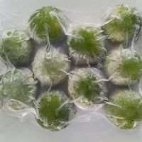PURE NATURAL FROZEN LIME FRUIT / FROZEN GRADE / READY TO USE FOR FOOD AND BEVERAGE