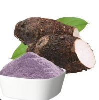FRESH TARO ROOT POWDER / PROCESSED GRADE
