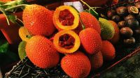 PURE FROZEN GAC FRUIT MEAT  VIETNAMESE SOURCE OF ANTIOXIDANTS