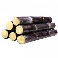 WHOLESALE PREMIUM FROZEN SUGARCANE  TOP SELLING NATURAL DRINK INGREDIENT