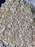 WHOLESALE HOT DEAL CASHEW NUT BABY BITS TOP SALES PREMIUM BULK SUPPLY EXPORT QUALITY NATURAL CASHEW KERNEL BITS From Vietnam