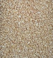 EXPORT QUALITY CASHEW NUT BABY BITS