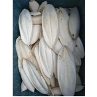 WHOLESALE CUTTLEBONE BULK EXPORT WITH COMPETITIVE PRICES FROM VIETNAM