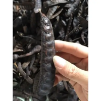 WHOLE DRIED GLEDITSIA PODS PURE HERBAL