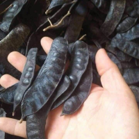 PURE DRIED GLEDITSIA PODS CLEAN LABEL HERBAL SHAMPOO BASE FOR NATURAL HAIR TREATMENT From Vietnam