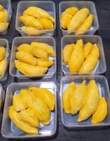 WHOLESALE FROZEN DURIAN / PREMIUM BULK SUPPLY / NATURAL FROZEN FRUIT / HOT DEAL TOP SALES