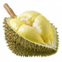 TOP SALES FROZEN DURIAN / PREMIUM BULK EXPORT SUPPLY / WHOLESALE FROZEN FRUIT / HOT DEAL