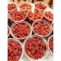 SALTED LEMON GOOSEBERRY JAM PREMIUM QUALITY NATURAL FRUIT SPREAD BULK WHOLESALE EXPORT SUPPLY HOT DEAL TOP SALES