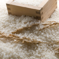 VIETNAM BROKEN RICE BULK SUPPLY HIGH