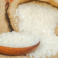 HIGH QUALITY BROKEN RICE 100% PURE FRAGRANT BULK EXPORT PRICE