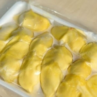 HIGH QUALITY FROZEN SEEDLESS DURIAN SEGMENTS READY TO EAT OR PROCESSING