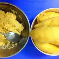 ALL NATURAL FROZEN SEEDLESS DURIAN SEGMENTS WHOLESALE SUPPLY FOR HEALTHY FOODS