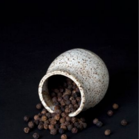 ALL NATURAL WHOLE BLACK PEPPER PREMIUM GRADE CLEAN LABEL VIETNAM BULK SUPPLY