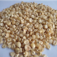 WHOLE DRIED YELLOW SWEET CORN KERNELS