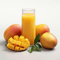 TOP SALES MANGO CONCENTRATE BULK WHOLESALE