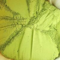 PREMIUM GOTU KOLA POWDER NATURAL HERBAL BULK WHOLESALE EXPORT SUPPLY HOT DEAL PRODUCT TOP SALES BEST PROMOTION