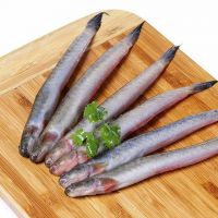 HOT DEAL FROZEN GOBY FISH BULK