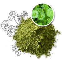 TOP SALES GOTU KOLA POWDER BULK WHOLESALE SUPPLY PREMIUM QUALITY NATURAL HERBAL EXPORT PRODUCT HOT DEAL PROMOTION
