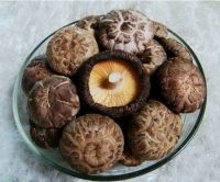 BEST SELLER NATURAL FRIED SHIITAKE MUSHROOM CRUNCHY HEALTHY SNACK