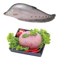 WHOLESALE BULK FROZEN FEATHERBACK FISHCAKE PREMIUM