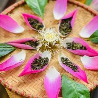 PREMIUM LOTUS TEA NATURAL HERBAL TEA BULK WHOLESALE EXPORT SUPPLY HOT DEAL PRODUCT TOP SALES BEST OFFER PROMOTION