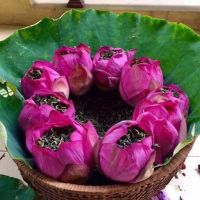 TOP SALES LOTUS TEA BULK WHOLESALE SUPPLY PREMIUM QUALITY NATURAL HERBAL TEA EXPORT PRODUCT HOT DEAL BEST OFFER PROMOTION