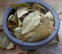 TOP SALES BAY LEAVES BULK WHOLESALE