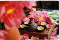 HOT DEAL LOTUS TEA PREMIUM QUALITY BULK WHOLESALE SUPPLY NATURAL HERBAL TEA EXPORT PRODUCT TOP SALES BEST PRICE OFFER