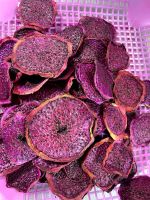 HOT DEAL DRIED DRAGON FRUIT PREMIUM